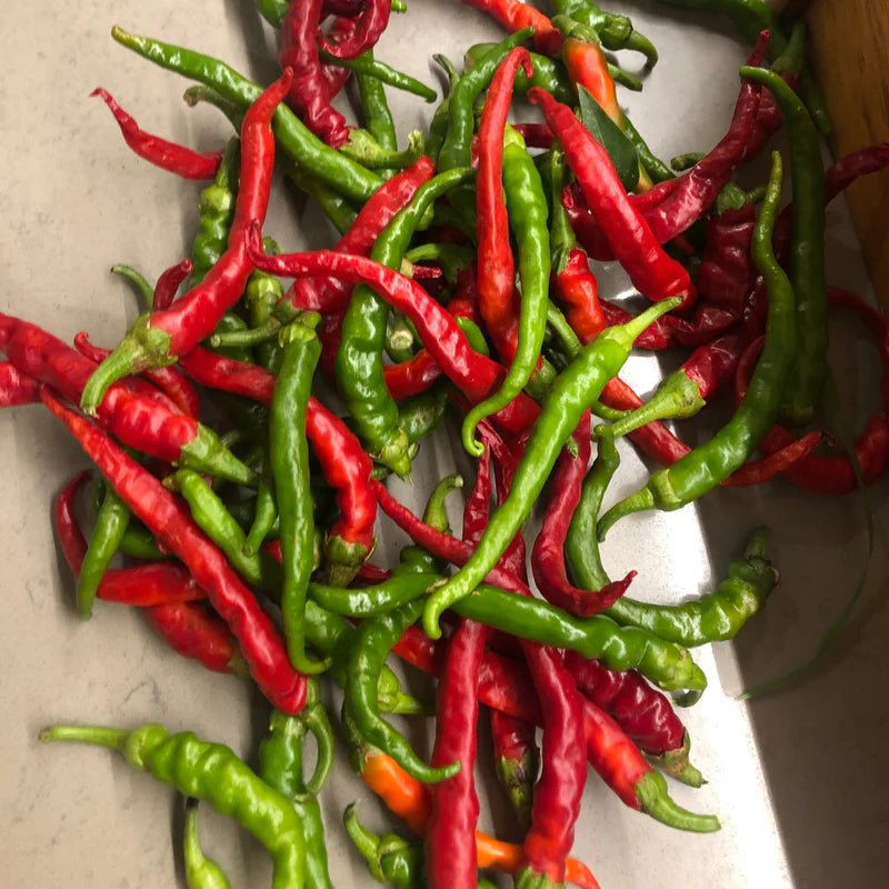 Little Veggie Patch Co - Heirloom Seeds - Chilli 'Cayenne'