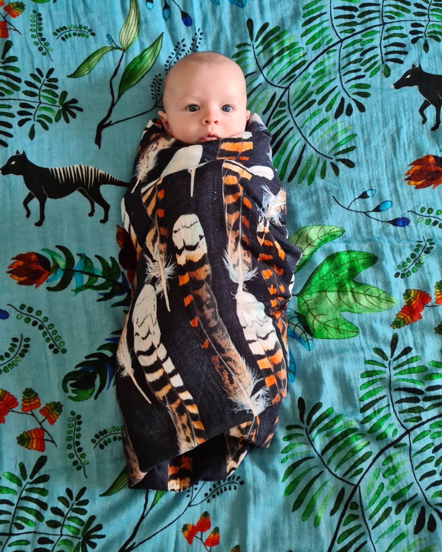 The Spotted Quoll Studio - Organic Cotton Muslin Baby Wraps/Swaddles