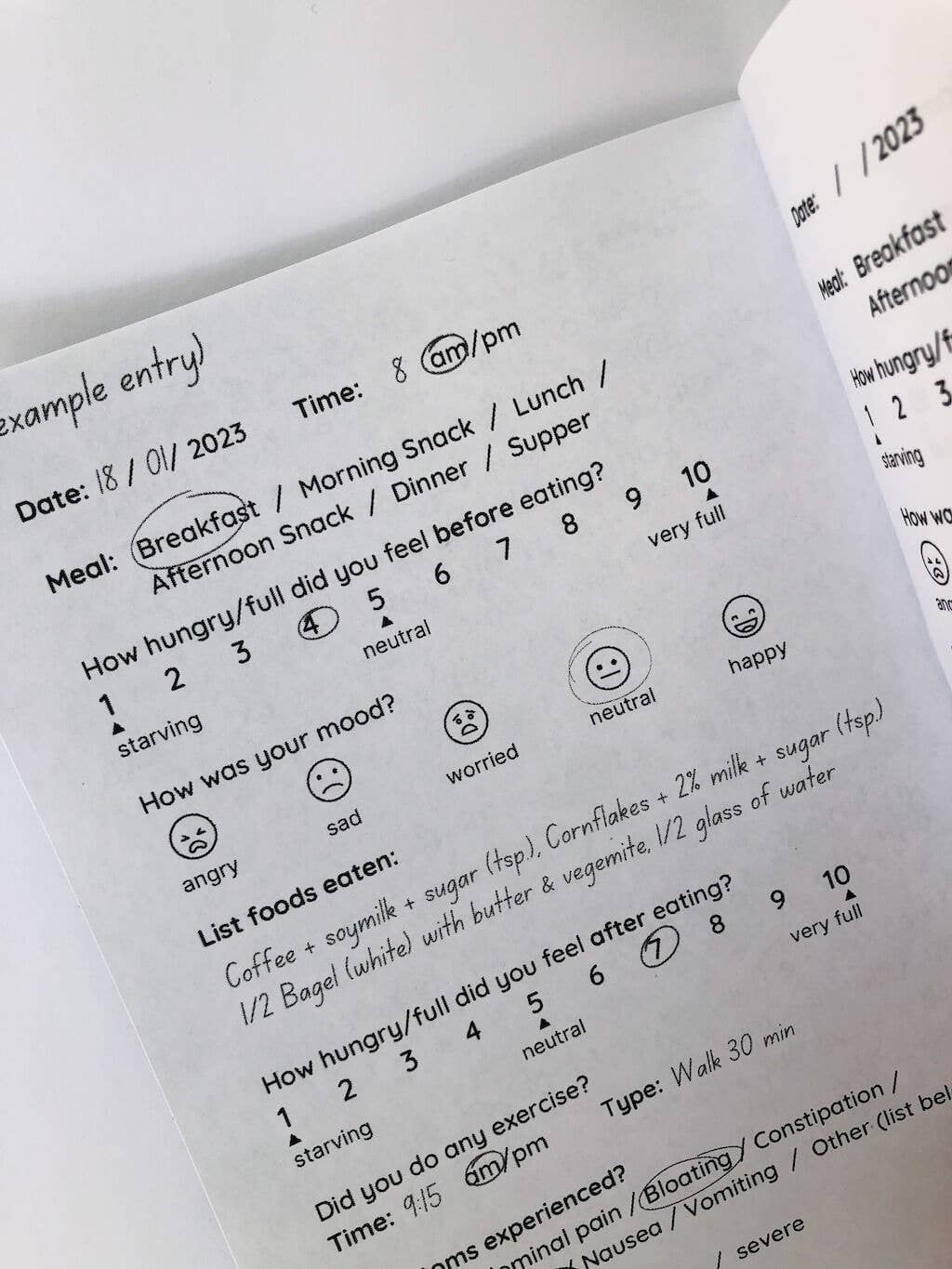 thankubody Press - Food, Mood & Symptoms: Digestive Health Logbook