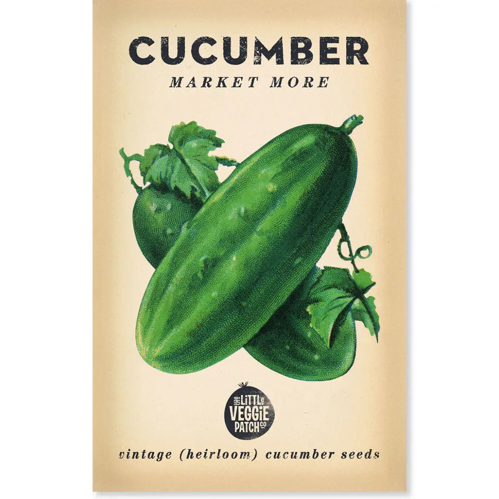 Little Veggie Patch Co - Heirloom Seeds - Cucumber 'Poinsett'