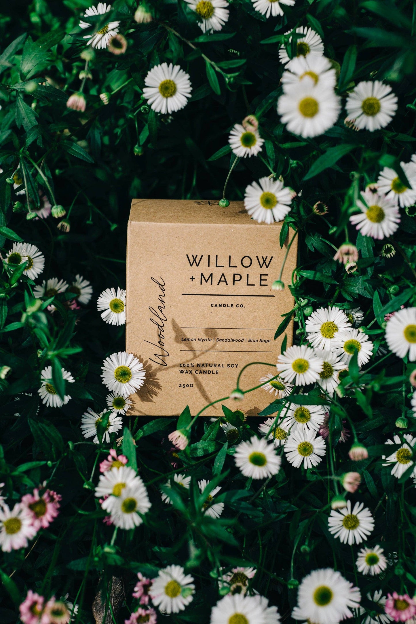 Willow + Maple - Candle - Woodland