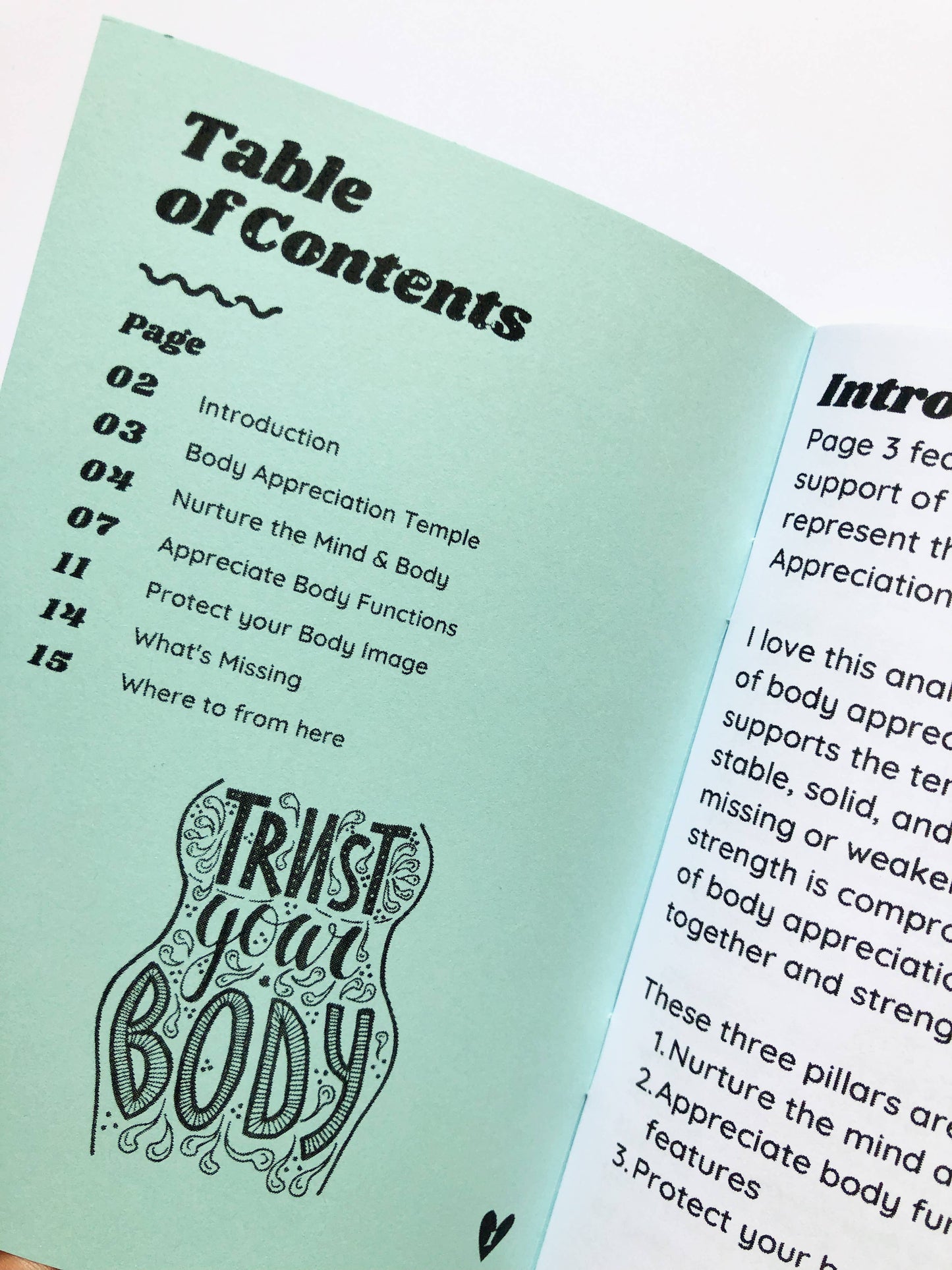 thankubody Press - Thank You Body: 3 Steps to make Peace with your Body