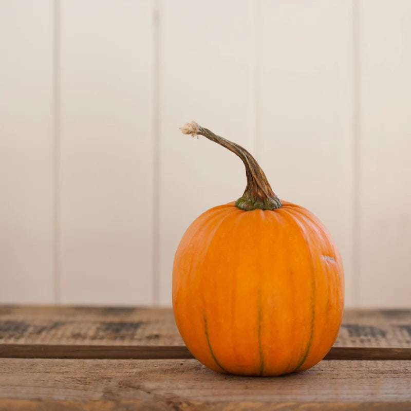 Little Veggie Patch Co - Heirloom Seeds - Pumpkin 'Small Sugar'