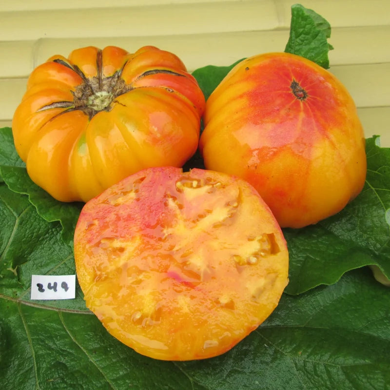 Little Veggie Patch Co - Heirloom Seeds - Tomato 'Pineapple'