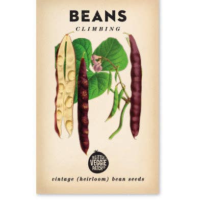 Little Veggie Patch Co - Heirloom Seeds - Beans Climbing 'Scarlett Runner'