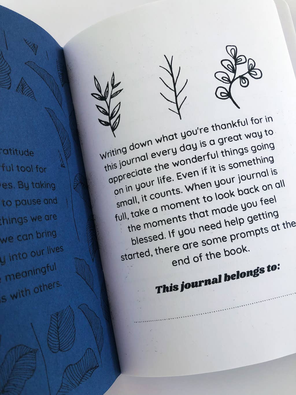 thankubody Press - Grateful: Pocket Gratitude Journal