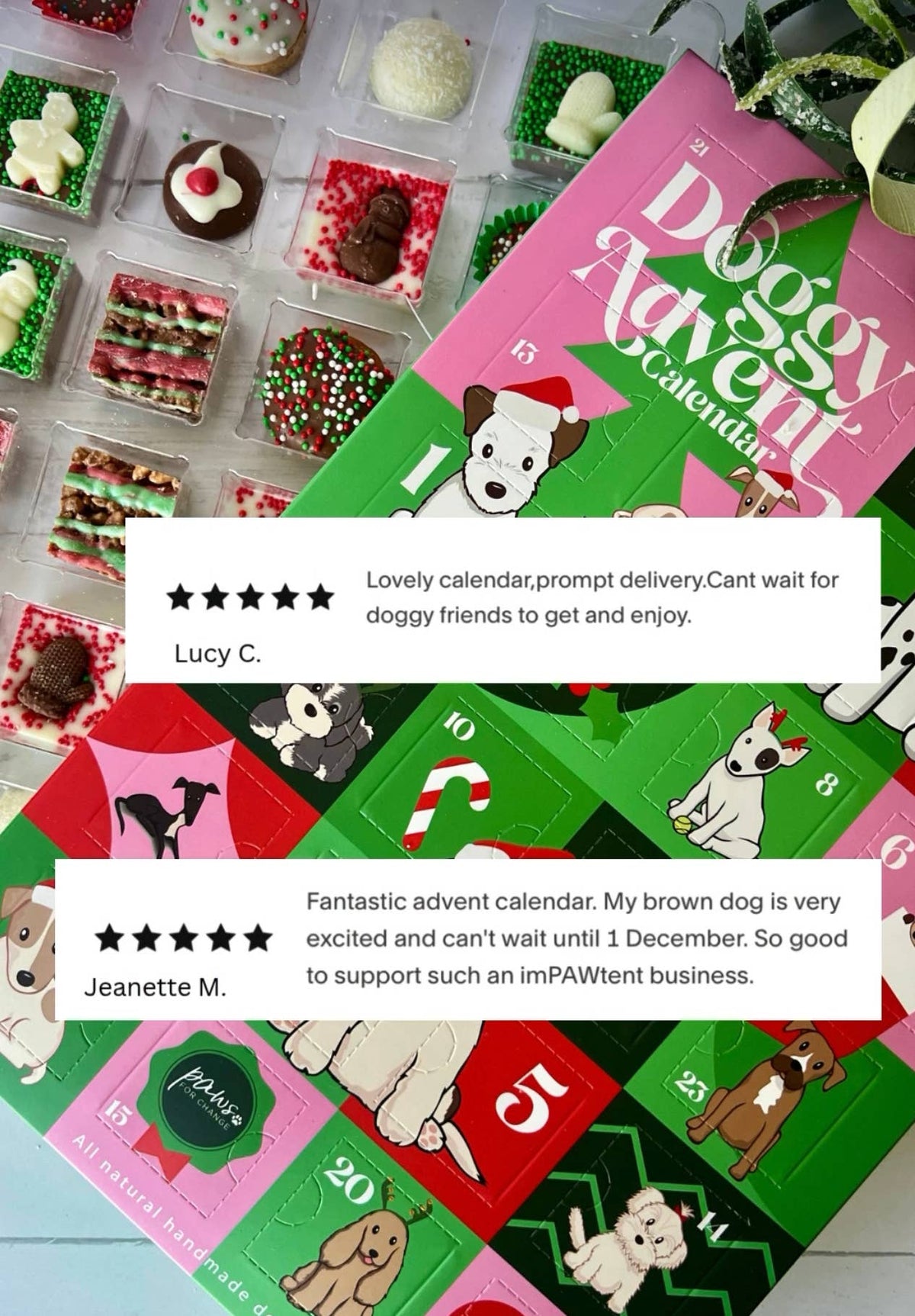 Paws For Change - Doggy Advent Calendar
