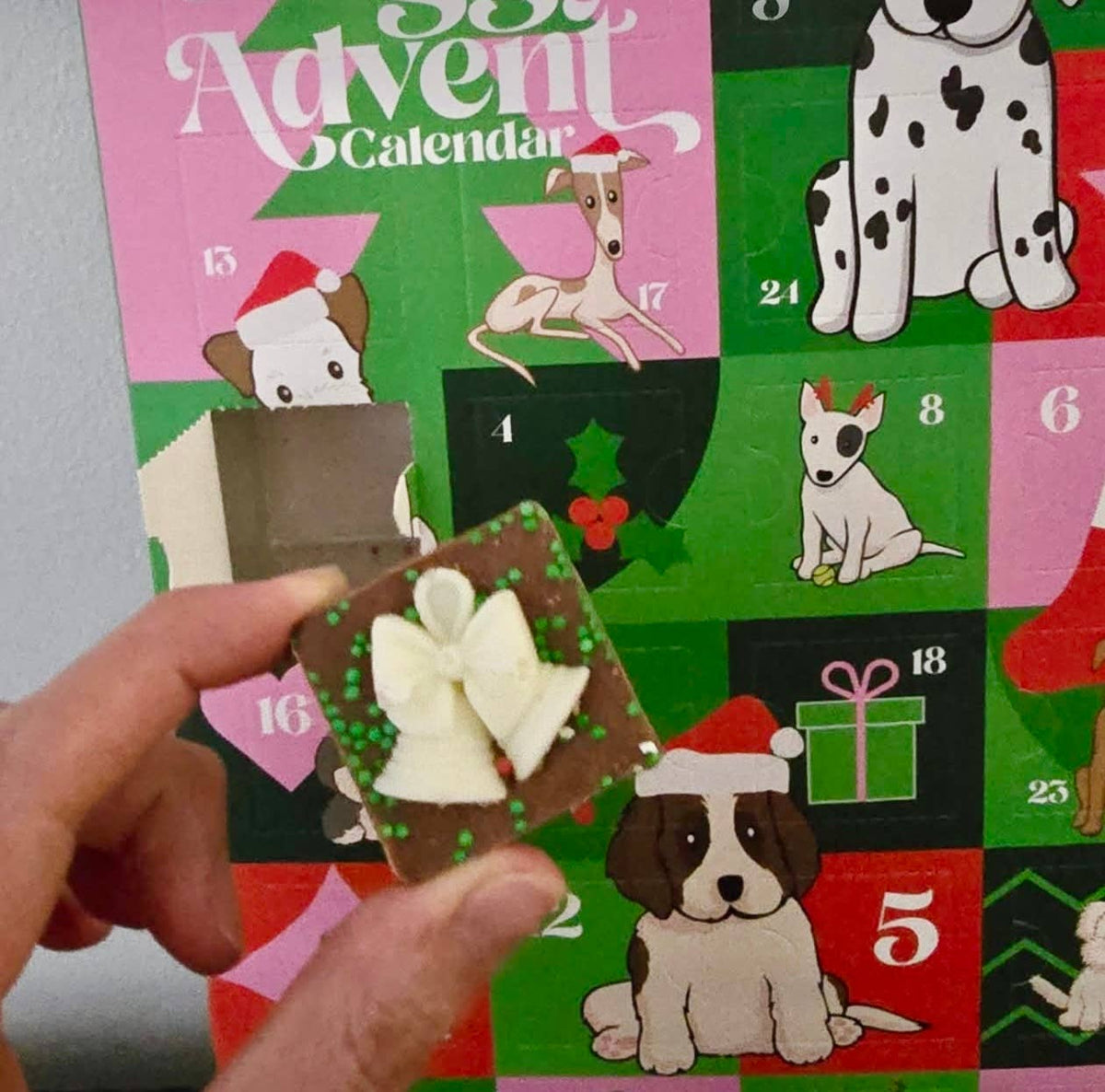 Paws For Change - Doggy Advent Calendar