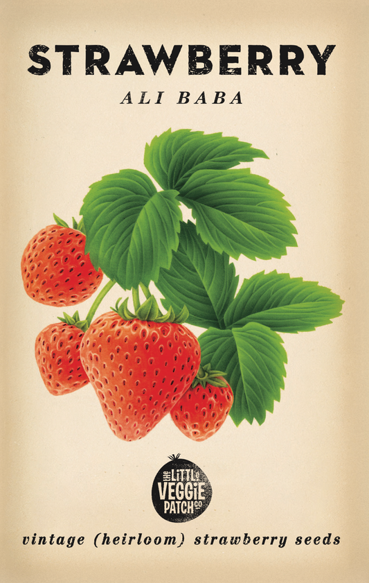 Little Veggie Patch Co - Heirloom Seeds - Strawberry 'Ali Baba'