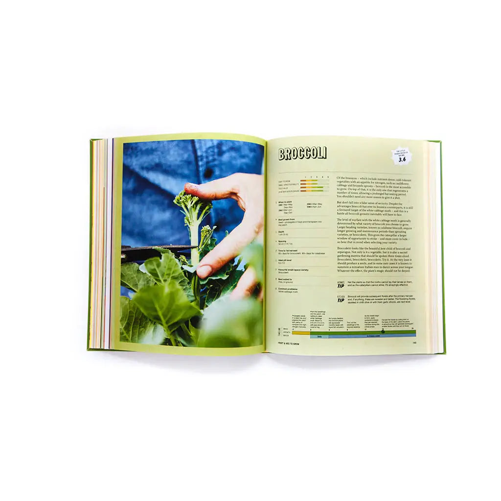 Little Veggie Patch Co - Book - Grow.Food.Anywhere