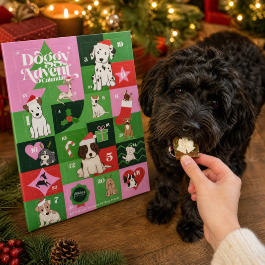 Paws For Change - Doggy Advent Calendar