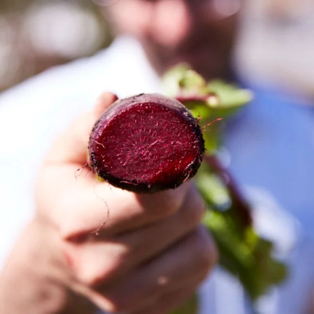 Little Veggie Patch Co - Heirloom Seeds - Beetroot 'Detroit'