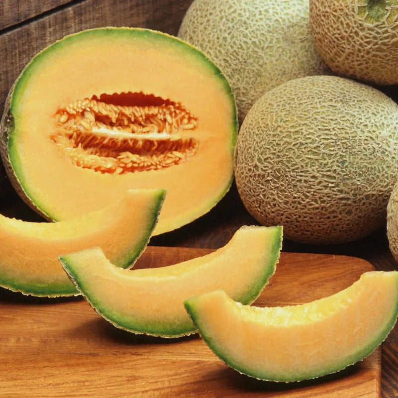 Little Veggie Patch Co - Heirloom Seeds - Rockmelon 'Hales Jumbo'