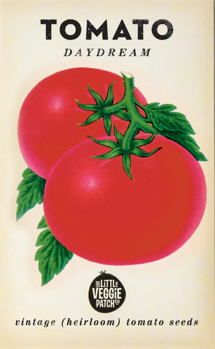 Little Veggie Patch Co - Heirloom Seeds - Tomato 'Daydream'