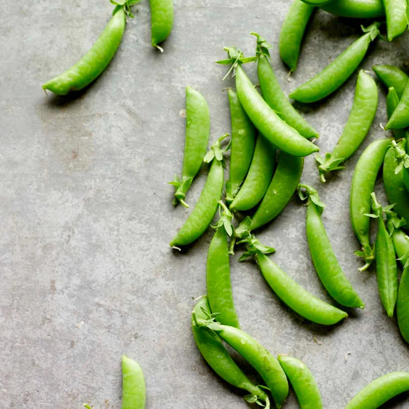 Little Veggie Patch Co - Heirloom Seeds - Pea 'Snap Sugar Bon'