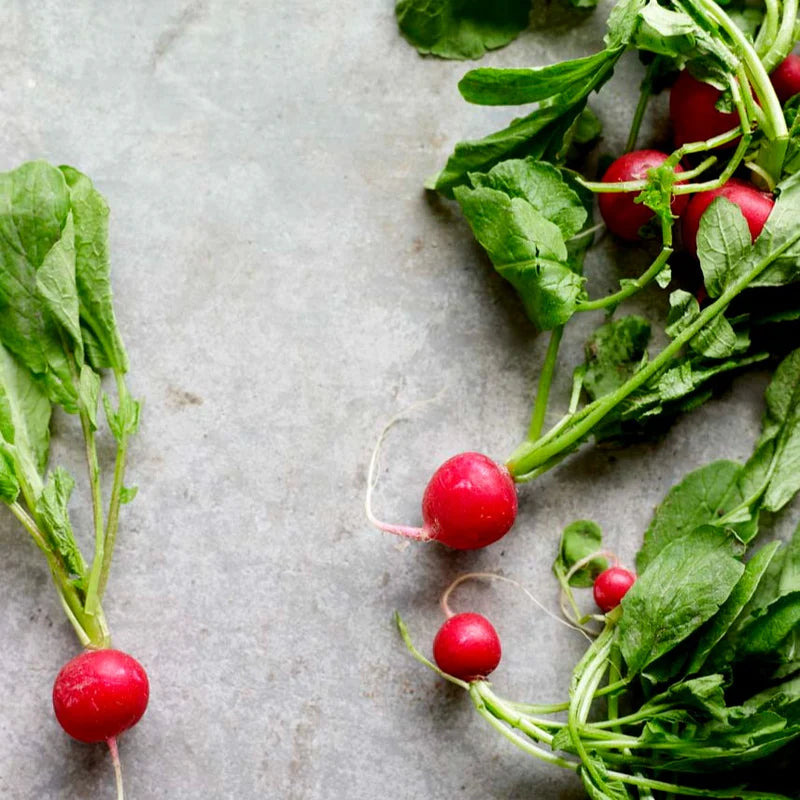 Little Veggie Patch Co - Heirloom Seeds - Radish 'Cherry Belle'