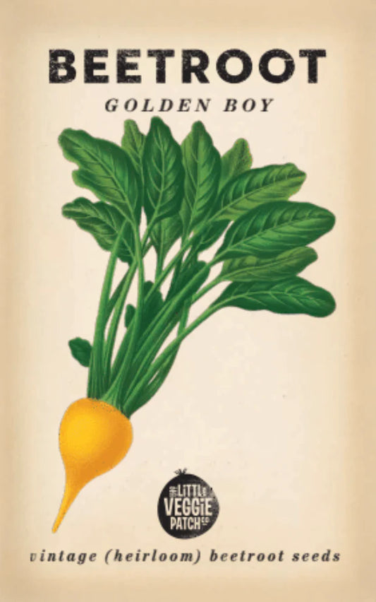 Little Veggie Patch Co - Heirloom Seeds - Beetroot 'Golden Boy'