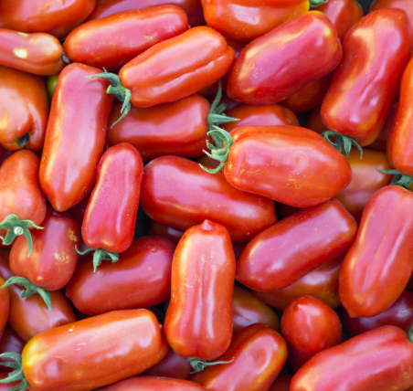 Little Veggie Patch Co - Heirloom Seeds - Tomato 'San Marzano'