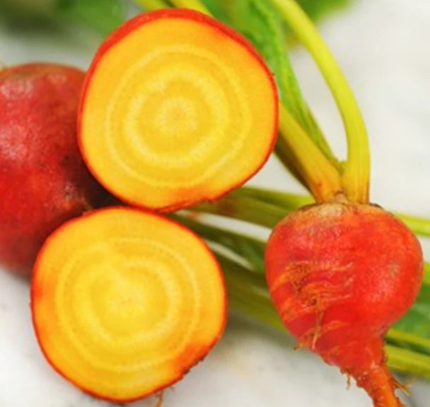 Little Veggie Patch Co - Heirloom Seeds - Beetroot 'Golden Boy'