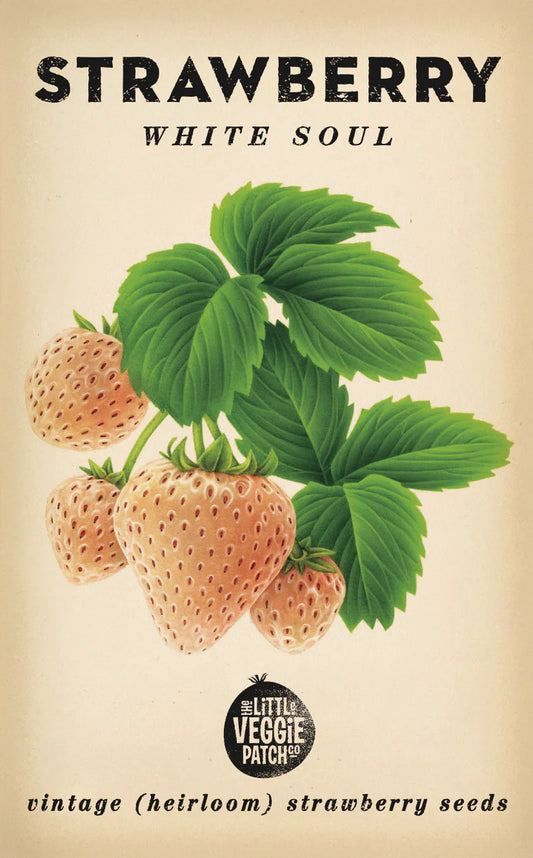 Little Veggie Patch Co - Heirloom Seeds - Strawberry 'White Soul'