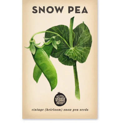 Little Veggie Patch Co - Heirloom Seeds - Snow Pea 'Oregon'