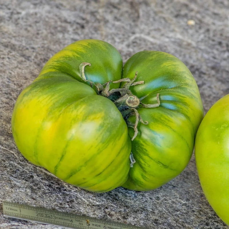 Little Veggie Patch Co - Heirloom Seeds - Tomato 'Aunt Ruby's Green'