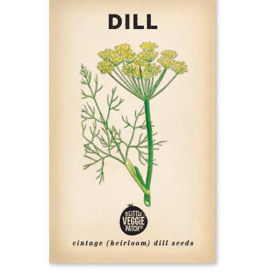 Little Veggie Patch Co - Heirloom Seeds - Dill 'Common'