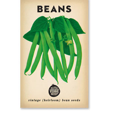 Little Veggie Patch Co - Heirloom Seeds - Beans 'Windsor Long Pod'