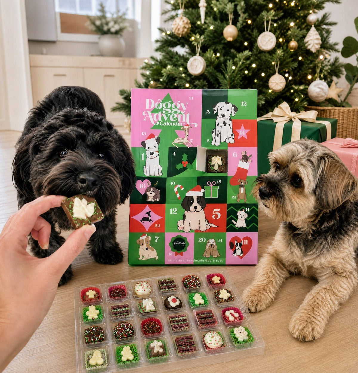 Paws For Change - Doggy Advent Calendar