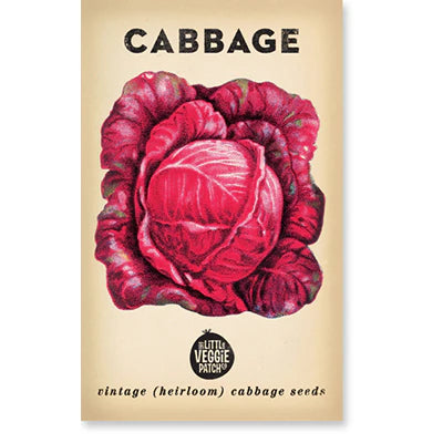 Little Veggie Patch Co - Heirloom Seeds - Cabbage 'Savoy Purple'
