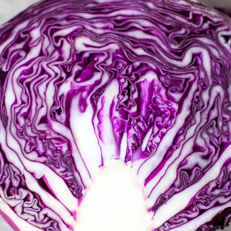 Little Veggie Patch Co - Heirloom Seeds - Cabbage 'Savoy Purple'