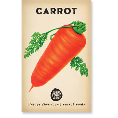 Little Veggie Patch Co - Heirloom Seeds - Carrot 'Baby Amsterdam'