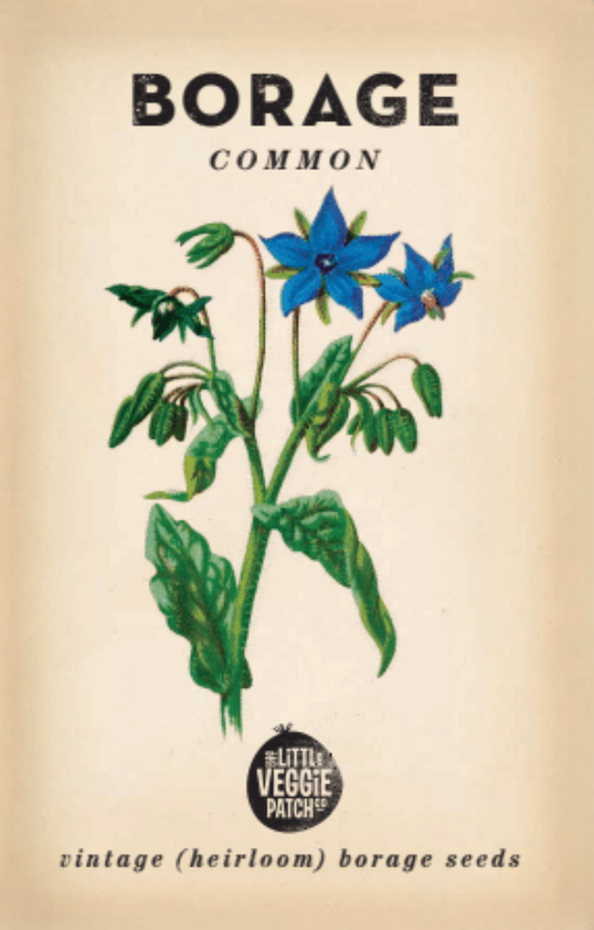 Little Veggie Patch Co - Heirloom Seeds - Borage 'Common'