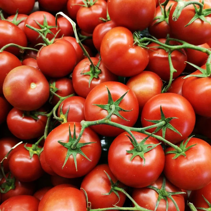 Little Veggie Patch Co - Heirloom Seeds - Tomato 'Burnley Surecrop'