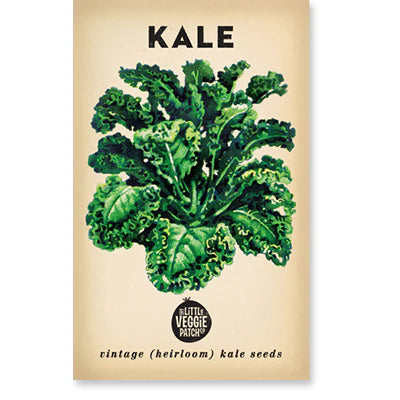 Little Veggie Patch Co - Heirloom Seeds - Kale 'Dwarf Blue'