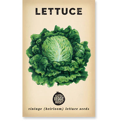 Little Veggie Patch Co - Heirloom Seeds - Lettuce 'Oakleaf'