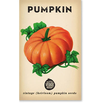 Little Veggie Patch Co - Heirloom Seeds - Pumpkin 'Small Sugar'