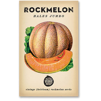Little Veggie Patch Co - Heirloom Seeds - Rockmelon 'Hales Jumbo'