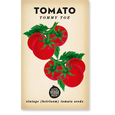 Little Veggie Patch Co - Heirloom Seeds - Tomato 'Tommy Toe'