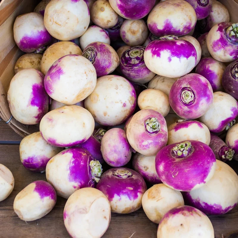 Little Veggie Patch Co - Heirloom Seeds - Turnip 'Purple Top'