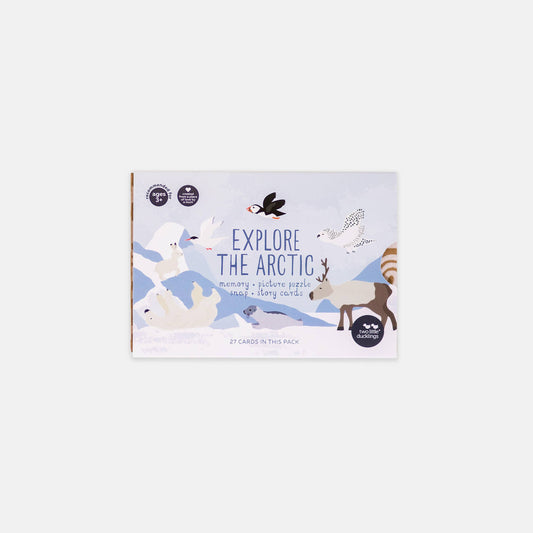 Two Little Ducklings - Snap and Memory Game - Explore the Arctic