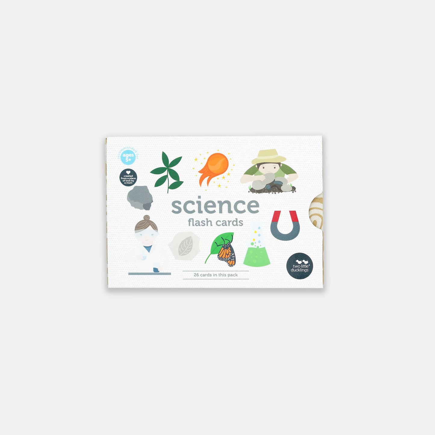 Two Little Ducklings - Flash Cards - Science